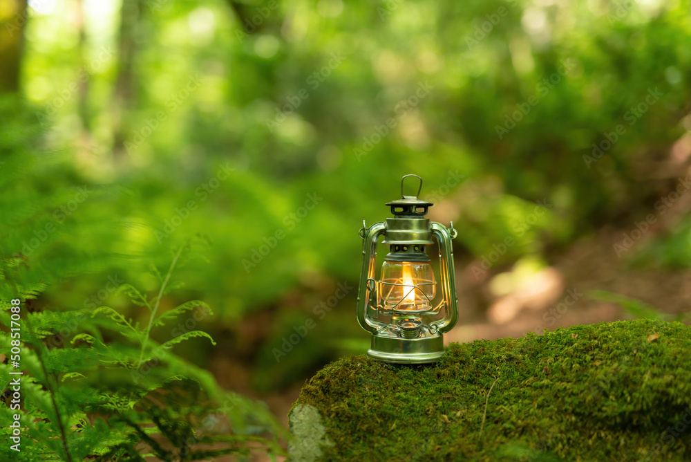 森とオイルランタン