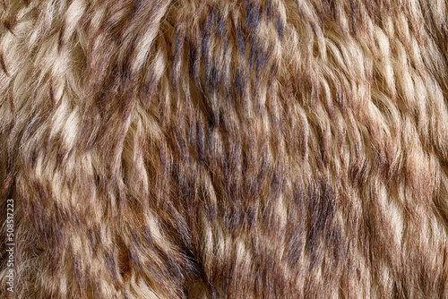 Beige straight fur texture ...