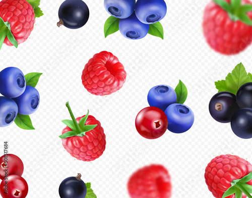 Fototapeta Naklejka Na Ścianę i Meble -  Forest berries background Vector illustration of raspberry, black currant, blueberry, cranberry. Ralistic blurred falling Berry fruit