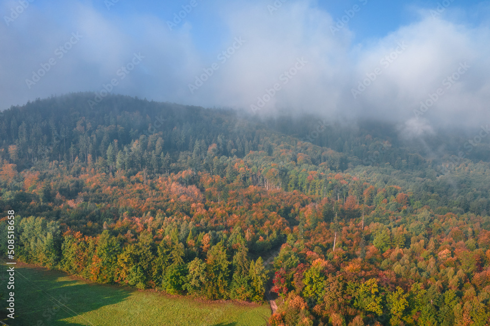 Foggy morning at the forest and green mountains. Beautiful autumn colors.