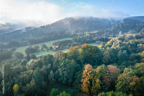 Foggy morning at the forest and green mountains. Beautiful autumn colors. © Jakub Łukasik