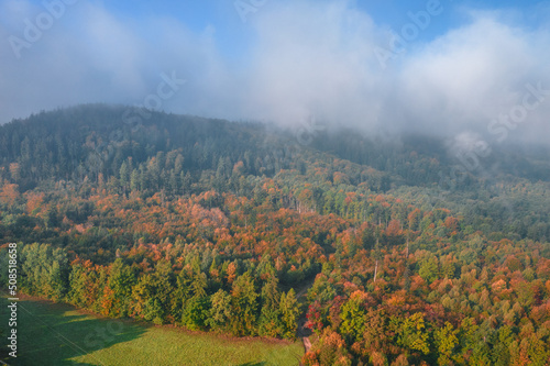 Foggy morning at the forest and green mountains. Beautiful autumn colors.