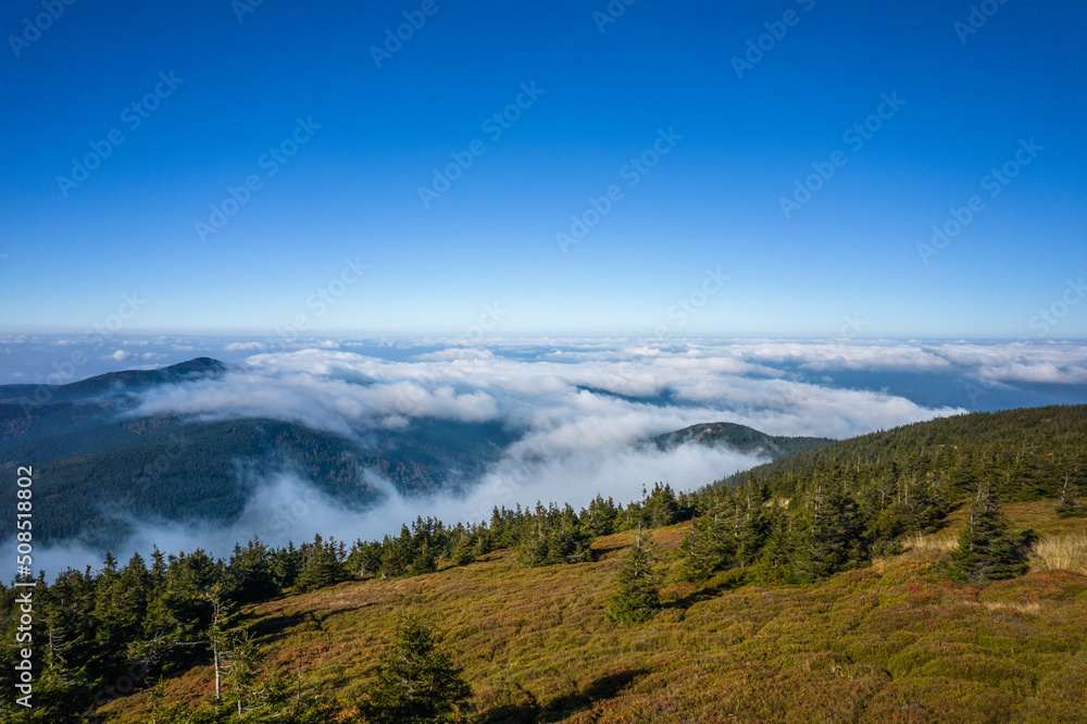 Aerial view of the coniferous forest. Green hills and mountains covered with clouds in the background.