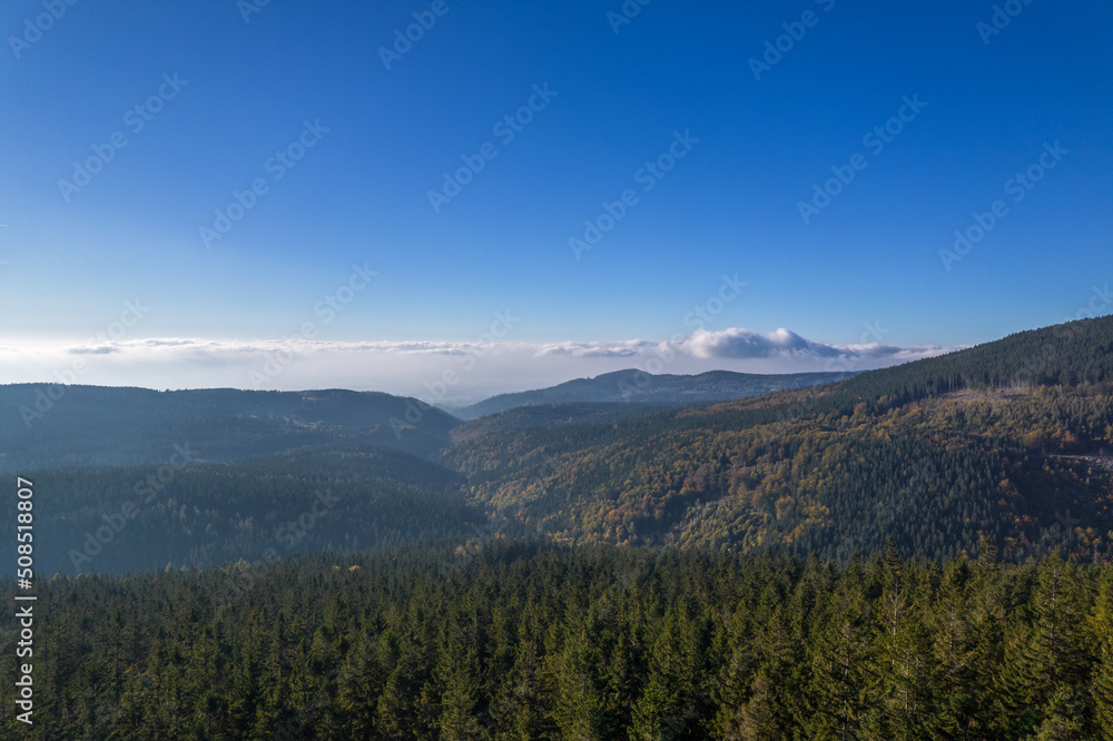 Coniferous forest and green mountains in a sunny day, blue sky and white clouds.