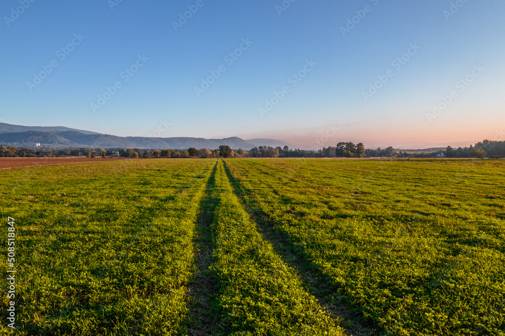 Green fields and mountains in the background during sunrise. Blue sky and pastel pink colors in the background.