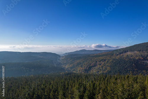 Coniferous forest and green mountains in a sunny day, blue sky and white clouds.