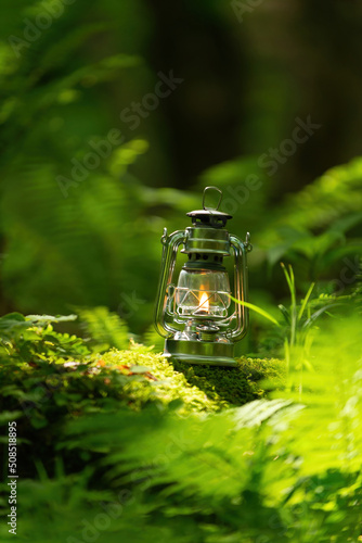 森林とオイルランタン © 歌うカメラマン