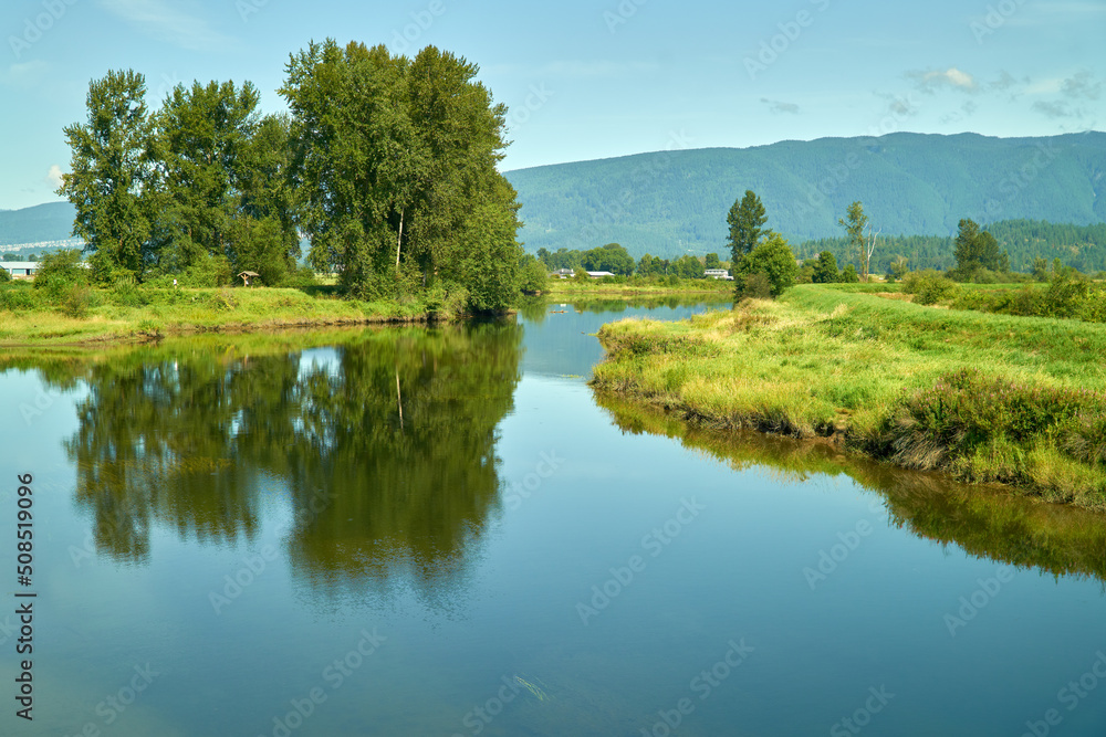 Fototapeta premium Alouette River Dyke Trail. Tranquil reflections along the Alouette River dyke trail in Pitt Meadows.