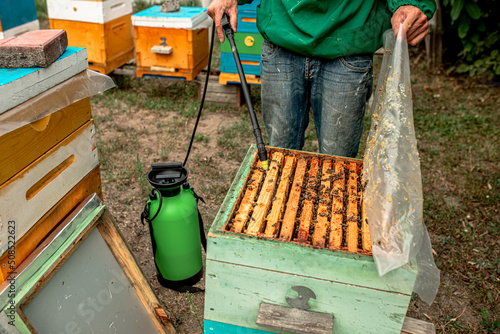 Fotografija beekeeper treats the bees of the varroa mite. Varroa destructor.