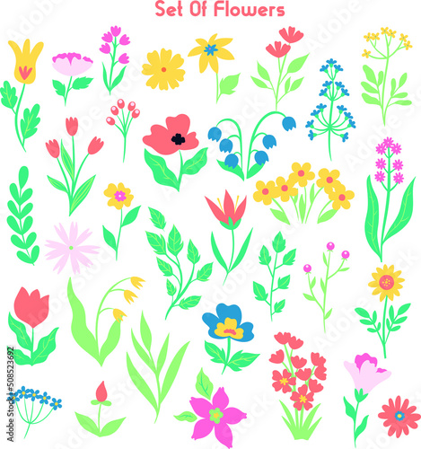 Set of colorful vector floral elements, Hand draw clipart collection, Watercolor floral composition. Clipping path included. Fast isolation. Hi-res file. Hand-painted. Raster illustration.