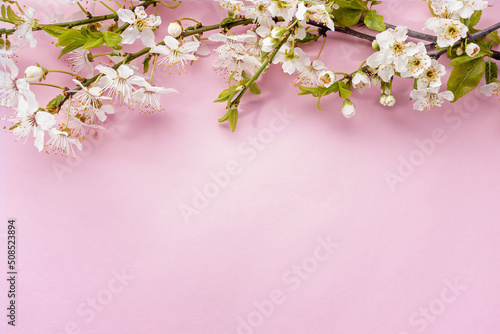 Spring blooming branches on pink background