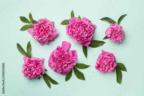 Fototapeta Naklejka Na Ścianę i Meble -  Beautiful peony flowers on color background, top view