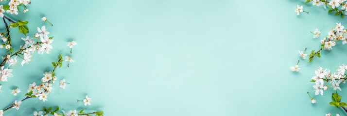 Spring banner with blooming branches
