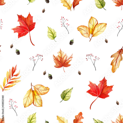 Seamless watercolor pattern with autumn leaves. Colorful bright illustration isolated on white background. Hand drawn oak, birch, maple, rowan leaves, twigs and acorns.