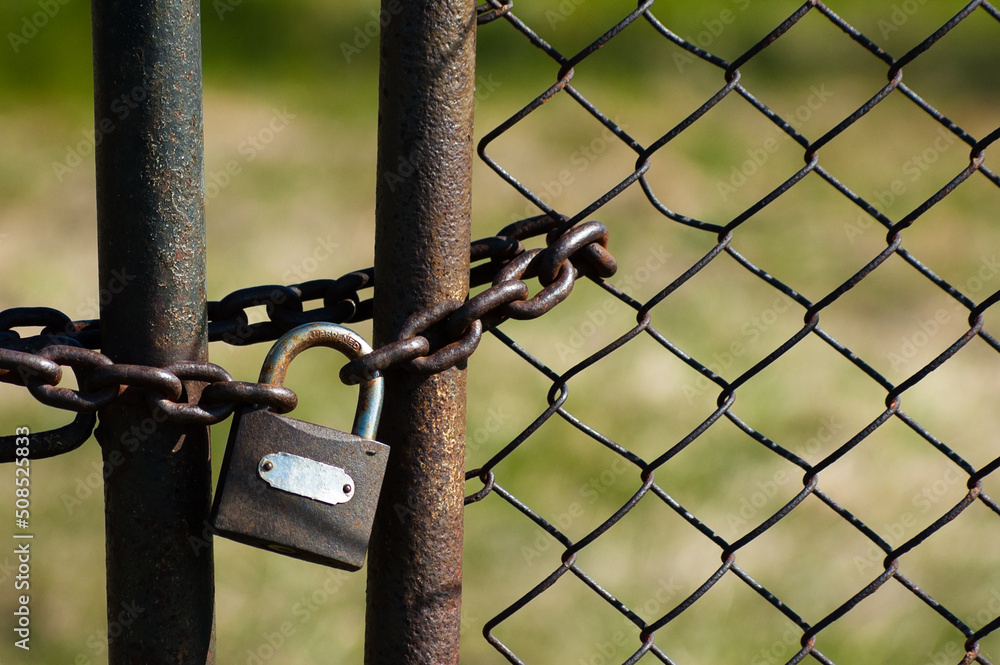 in the photo, a metal fence, a mesh chain and a lock in the photo, a metal fence, a mesh chain and a lock
