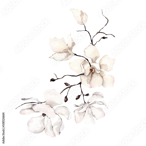 Watercolor bouquet with white flowers and green leaves, isolated on white background