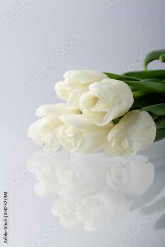 White tulips on white, reflection in glass, beautiful postcard