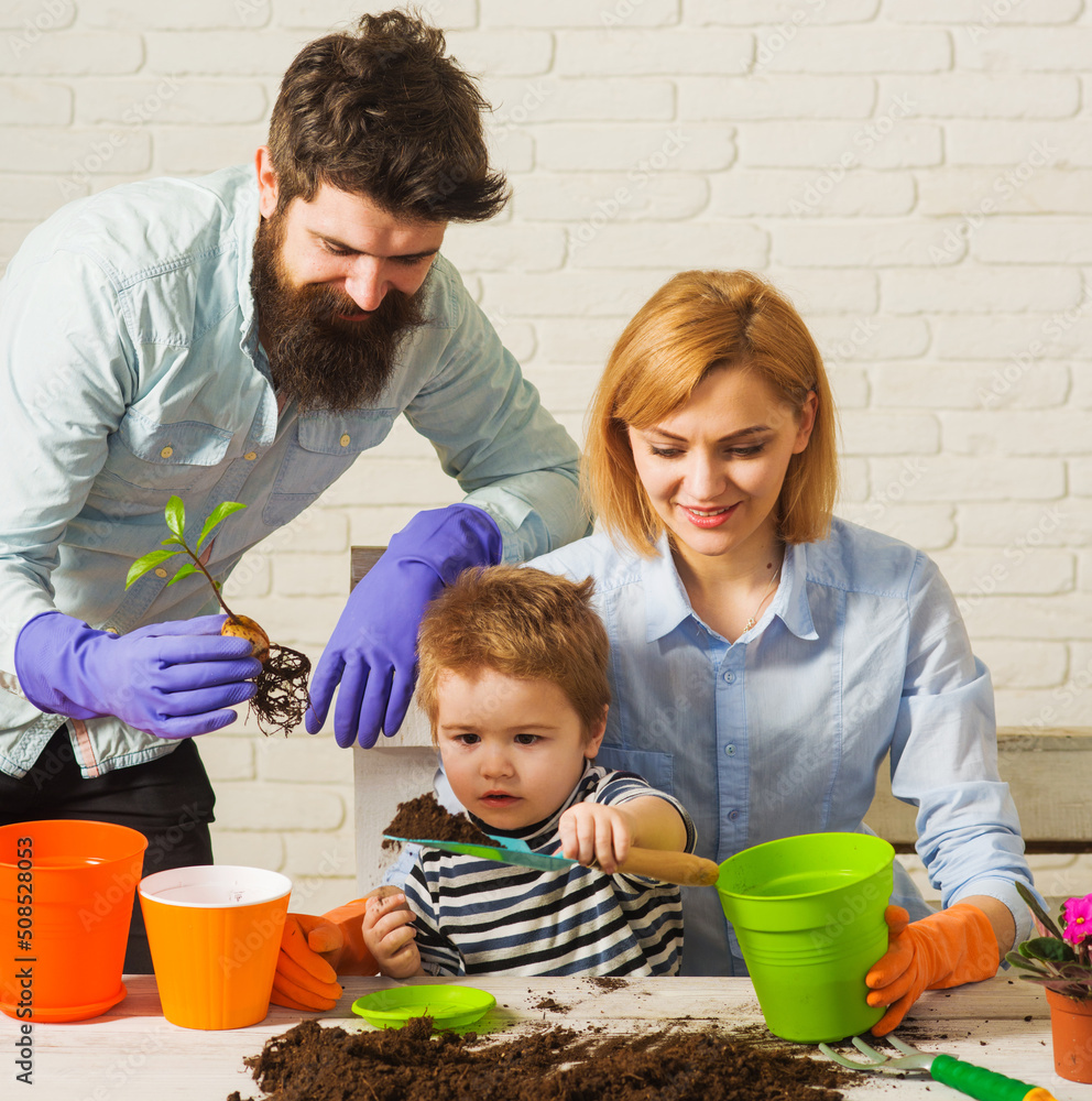 Family planting avocado in pot. Soil for flowers. Mother, father and little son working together. Family planting avocado in pot. Soil for flowers. Mother, father and little son working together.