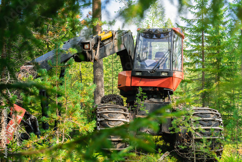Close up photo of forest harvesting fully automatic machine stands between trees. Northern Sweden, fresh green pine tree forest, sunny day