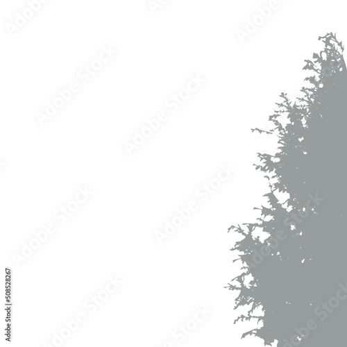 Shadow from vegetation on the wall vector silhouette. Tree branch or bush vector shape