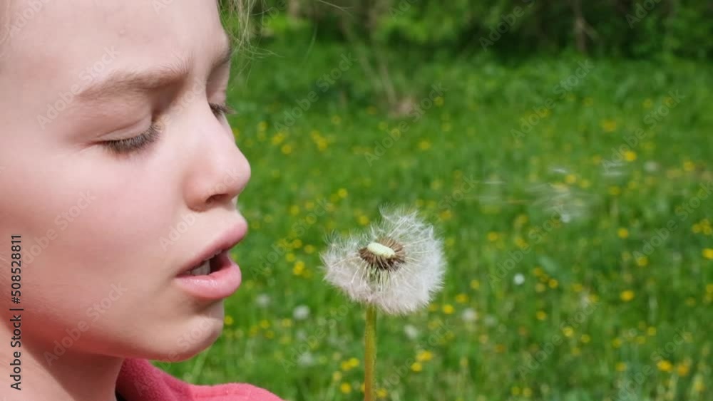 Teen Girl child holds and blows on a dandelion. Happy childhood concept. Playing outdoors. Slow motion summer video Teen Girl child holds and blows on a dandelion. Happy childhood concept. Playing outdoors. Slow motion summer video