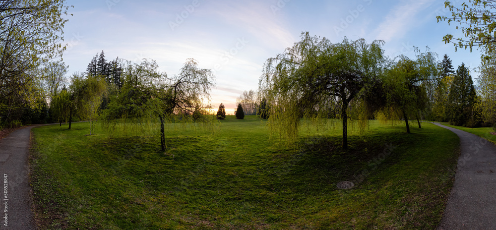 Obraz premium Scenic Trail in a green park with trees. Colorful Sunset Sky. City suburbs in Fraser Heights, Surrey, Vancouver, BC, Canada.