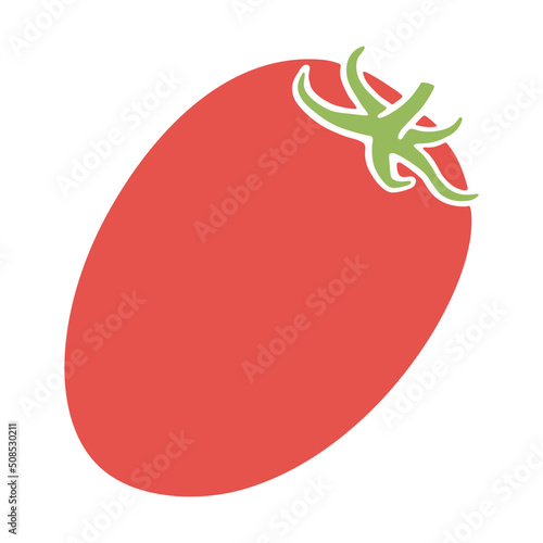 Roma tomato isolated on white