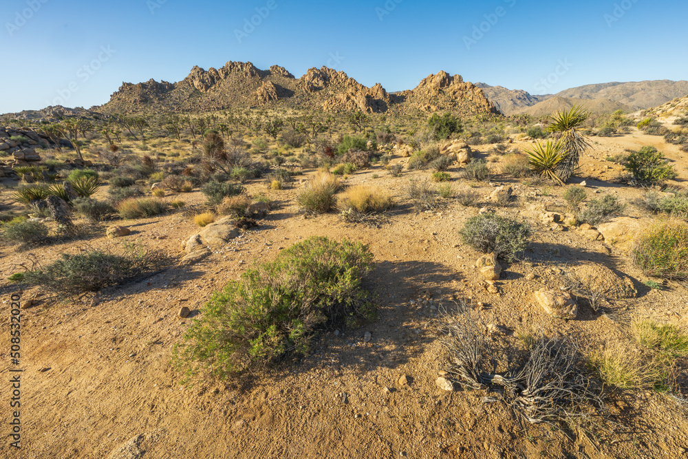 hiking the maze loop in joshua tree national park, california, usa