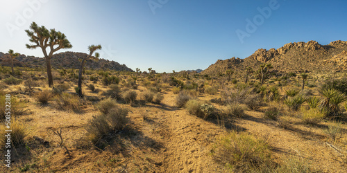 hiking the maze loop in joshua tree national park, california, usa