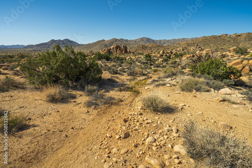 hiking the maze loop in joshua tree national park, california, usa