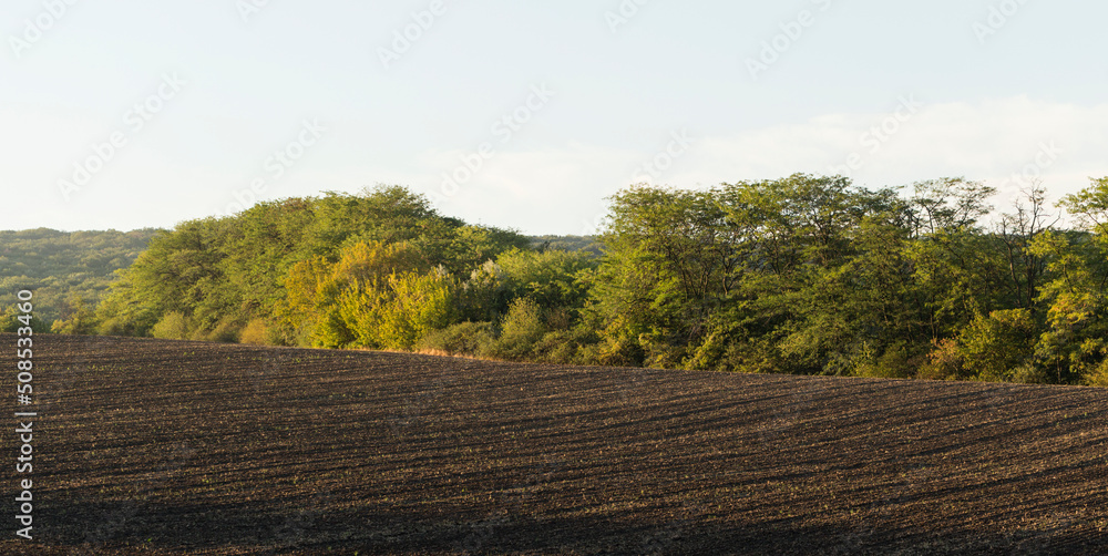 Fototapeta premium Agricultural lands are plowed, and prepared for vegetation.