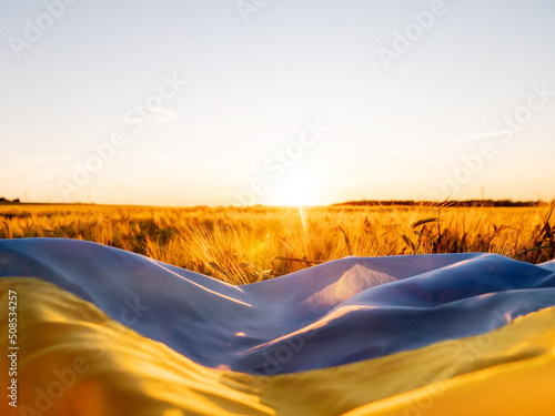 Ukrainian flag on wheat field during sunset.