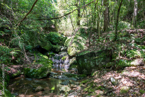  Matsukaze no Taki   a tiny waterfall in Dojo  Kobe  Hyogo  Japan