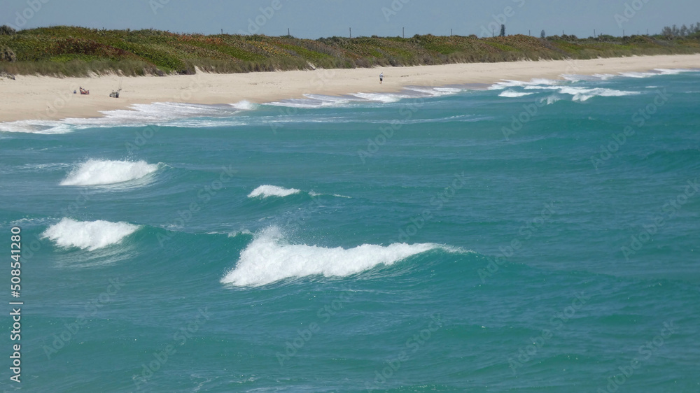 Atlantic Ocean Waves Along Fishing Angler Beach with Mangroves Atlantic Ocean Waves Along Fishing Angler Beach with Mangroves