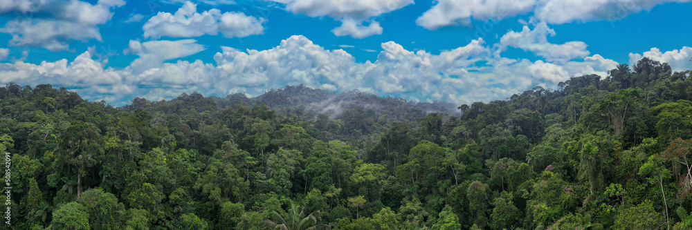 Aerial panorama of tropical forest with a beautiful cloudscape, a nature background of the Amazon in South America Aerial panorama of tropical forest with a beautiful cloudscape, a nature background of the Amazon in South America