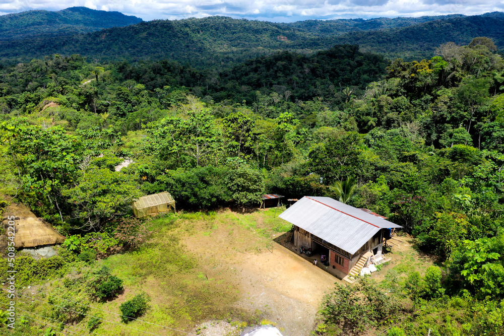 A small farmers house in the Amazon of Ecuador A small farmers house in the Amazon of Ecuador