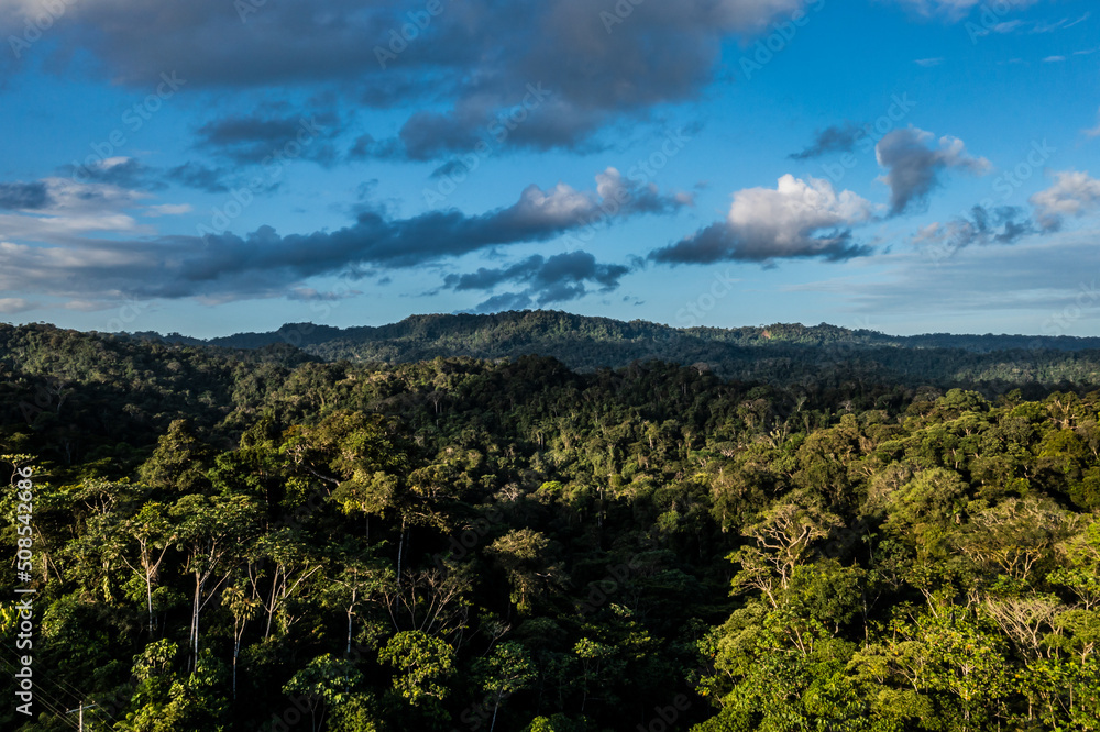 Beautiful nature background, an amazing blue cloudscape is casting shadows over the tree canopy of a tropical forest: an aerial view of a rainforest