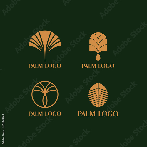 set of Luxury Palm Logo Template Vector. simple and minimalistic palm tree with gold lines logo design