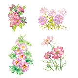 set of hand painted watercolor illustration of pink flowers, isolated on white background