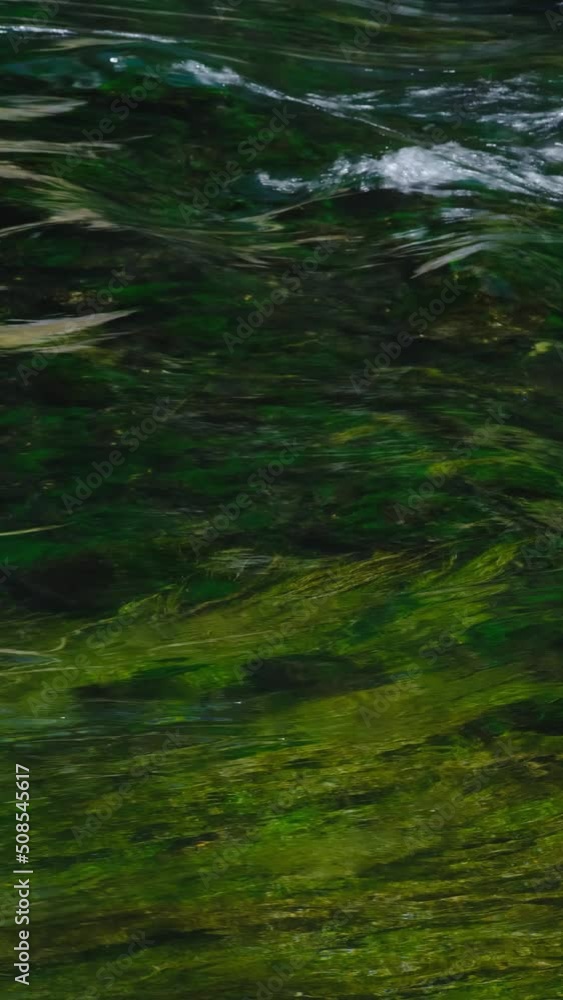 beautiful river in the nature beautiful river in the nature