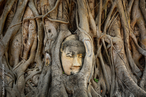 face of buddha © Siri.P