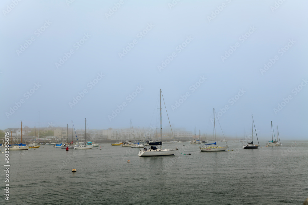 Elegant and modern sailboats moored to a pier in a yacht marina. Thick white fog. High-quality photo