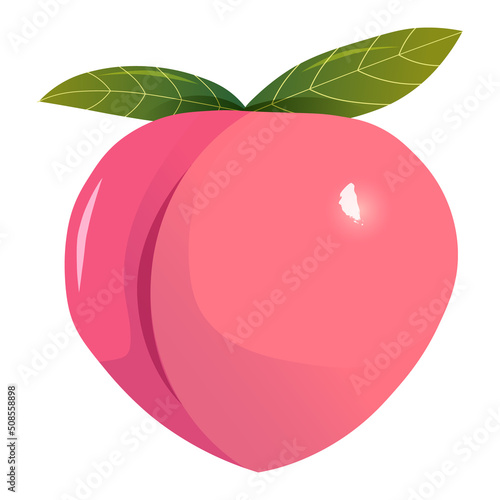 Cute pink peach.Summertime fruit. Vector 
