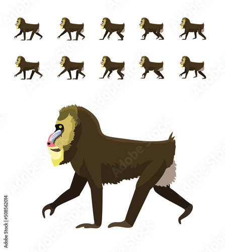 Animal Animation Primate Monkey Baboon Mandrill Moves Frame Sequence Cute Cartoon Vector Illustration