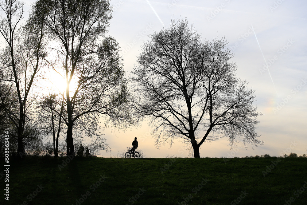 Regensburg, Germany: silhouette of people riding the bike on a rural road at sunset along Danube river in Regensburg, Germany, Europe.
