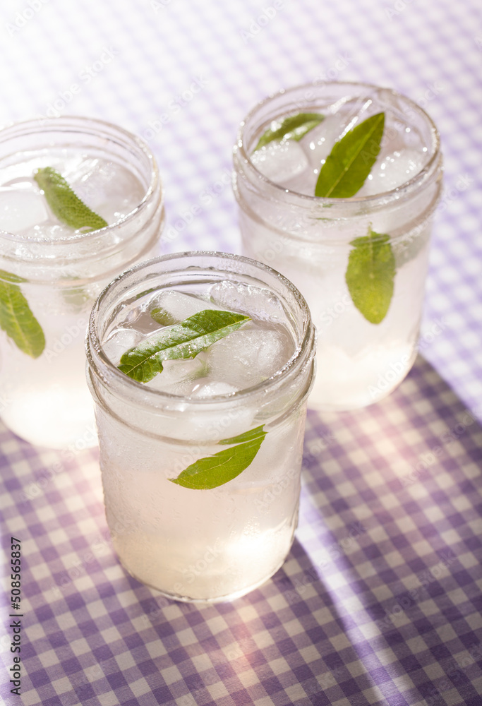 Lemon Verbena and Sage Summer Herbal Sweet Tea Lemon Verbena and Sage Summer Herbal Sweet Tea