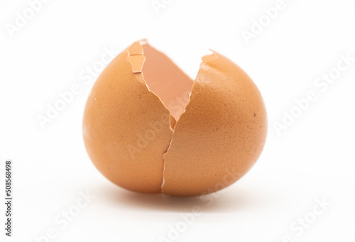 broken egg skin over on white background