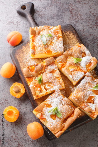 Sponge cake with apricots, dusted with icing sugar closeup on the wooden board on the table. Vertical top view from above