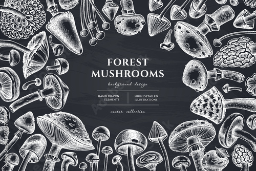Forest mushrooms hand drawn illustration design. Background with chalk mushrooms, fly agaric, blewit, etc.