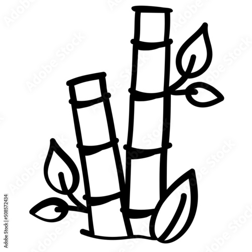 Bamboo 